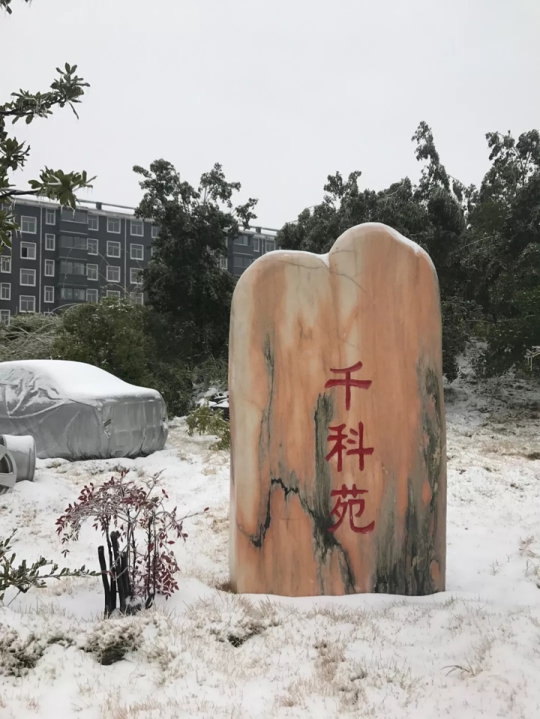 千科廚衛(wèi)電器潘遠(yuǎn)宏：智能產(chǎn)品、智慧營(yíng)銷(xiāo)一手抓，終端是品牌最后浪潮！