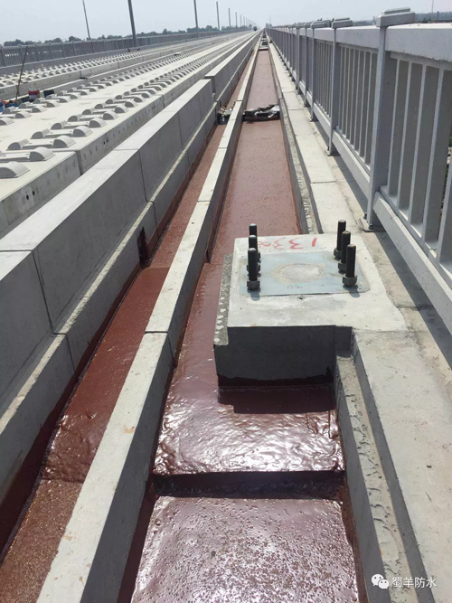 品牌案例|蜀羊防水為城市建設(shè)品質(zhì)助力，領(lǐng)跑城市發(fā)展
