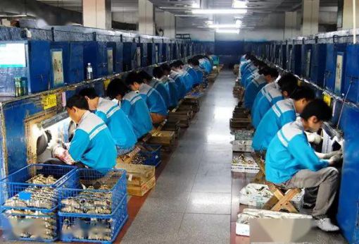 品牌招商|輝煌廚衛7大優勢，帶你快速掘金!