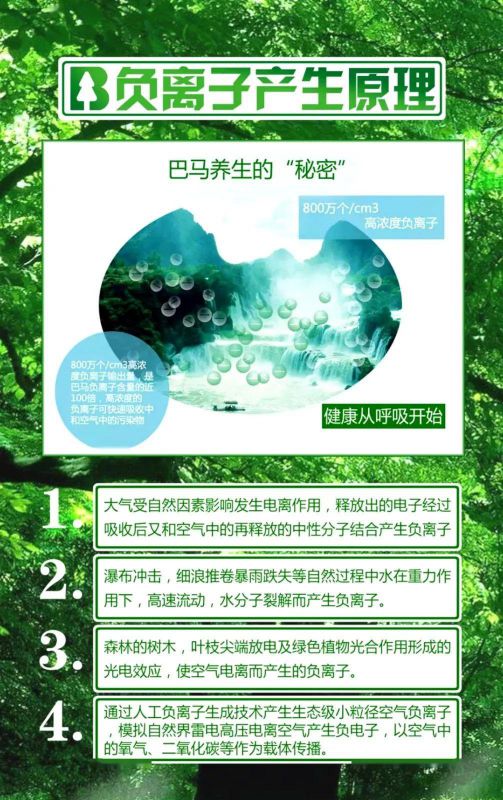 品牌產品|雪寶森林有氧板，有效釋放負氧離子長達15年