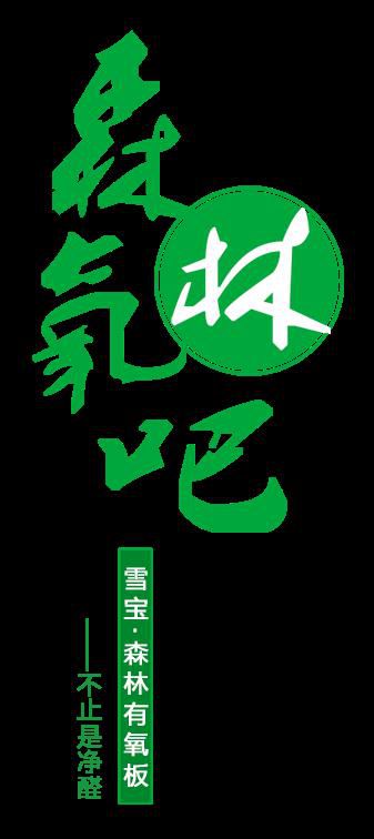 品牌產品|雪寶森林有氧板，有效釋放負氧離子長達15年