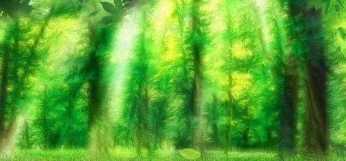 品牌產品|雪寶森林有氧板，有效釋放負氧離子長達15年
