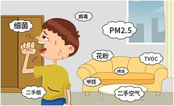 豐葉板材再創新高峰，榮獲“中國十大品牌”稱號