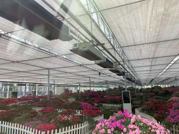 岳西大觀園12000㎡花卉大棚采用格美粵空氣源熱泵，三年無(wú)故障運(yùn)行