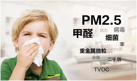 綠樹漆|“凈味呼吸”系列漆，開啟家居新“凈”界